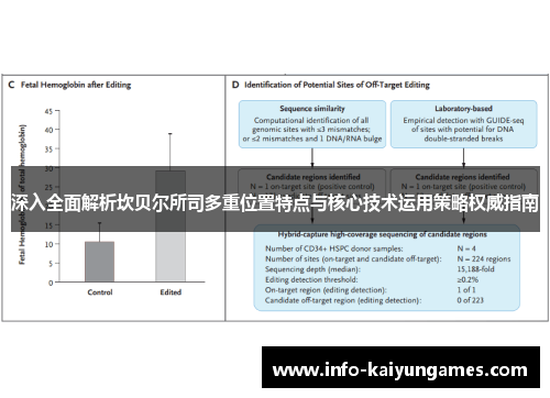 深入全面解析坎贝尔所司多重位置特点与核心技术运用策略权威指南