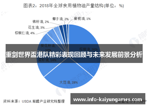 重剑世界盃港队精彩表现回顾与未来发展前景分析